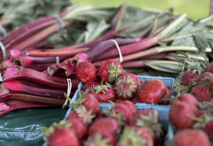 June is rhubarb picking time,  so pucker up